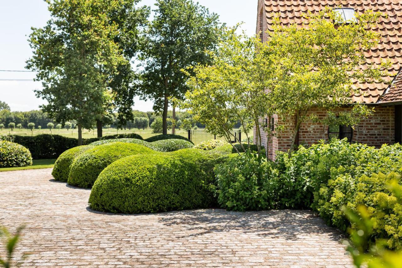 Hoeve Den Akker - Luxueuze Vakantiewoningen Met Privetuinen En Alpaca'S Nabij Brugge, Damme, Knokke, Sluis En Cadzand Экстерьер фото