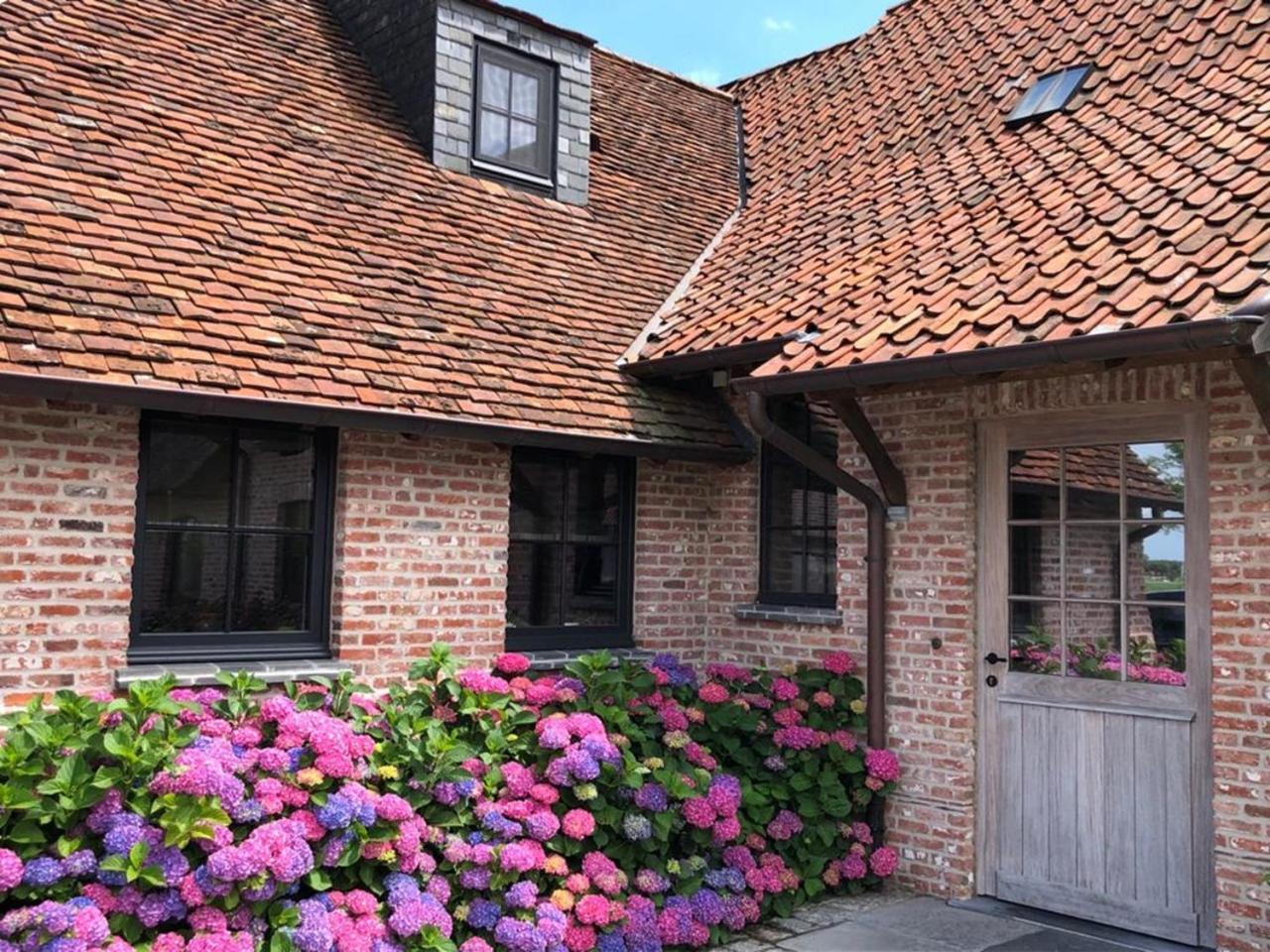 Hoeve Den Akker - Luxueuze Vakantiewoningen Met Privetuinen En Alpaca'S Nabij Brugge, Damme, Knokke, Sluis En Cadzand Экстерьер фото