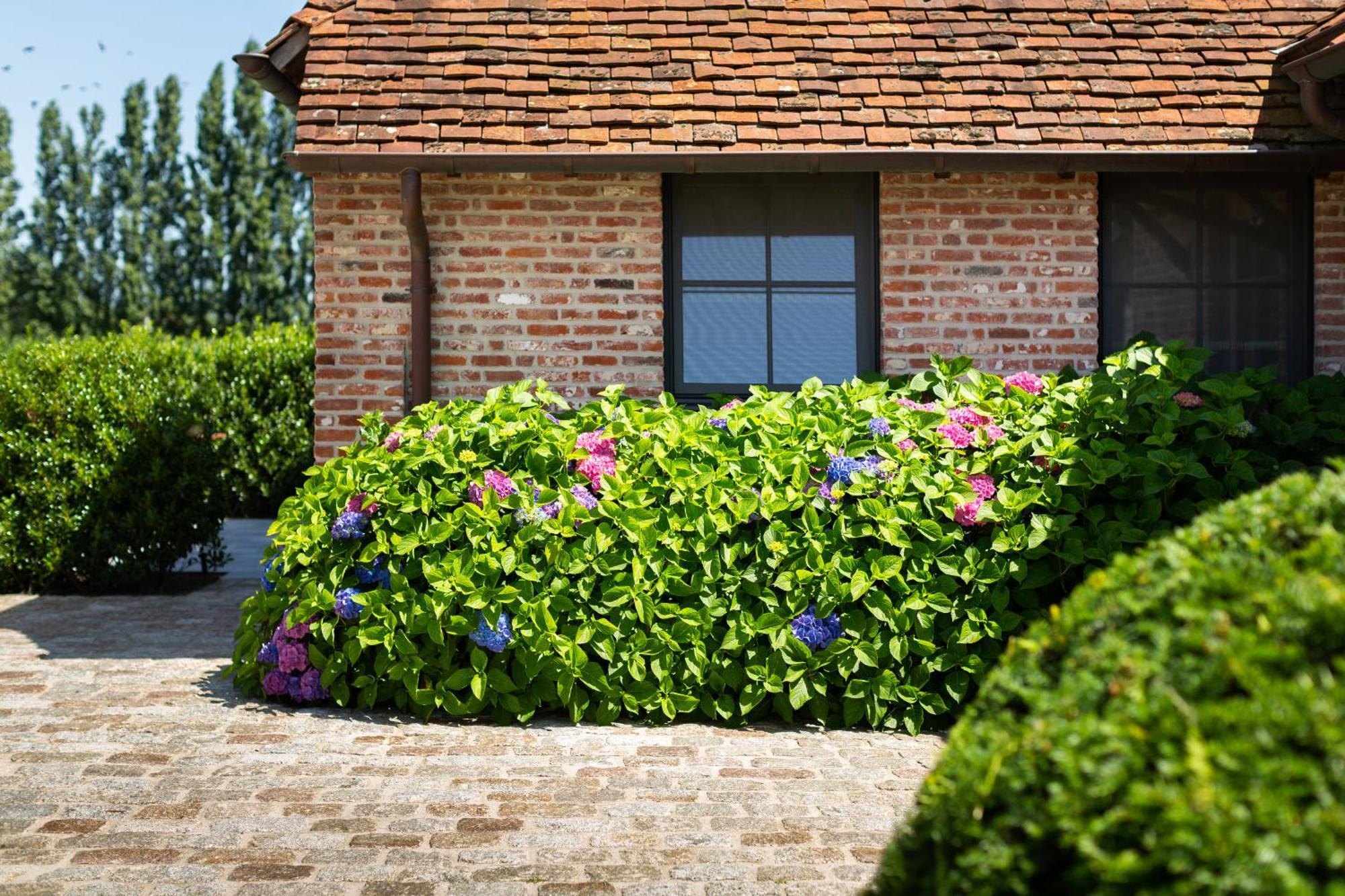 Hoeve Den Akker - Luxueuze Vakantiewoningen Met Privetuinen En Alpaca'S Nabij Brugge, Damme, Knokke, Sluis En Cadzand Экстерьер фото
