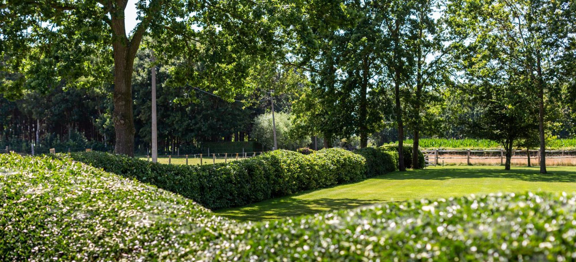 Hoeve Den Akker - Luxueuze Vakantiewoningen Met Privetuinen En Alpaca'S Nabij Brugge, Damme, Knokke, Sluis En Cadzand Экстерьер фото